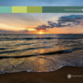 Annual Report 2025
